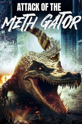 ดูหนัง Attack of the Meth Gator (2024) เต็มเรื่อง
