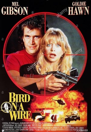 ดูหนัง Bird on a Wire (1990) ดับอำมหิต เต็มเรื่อง