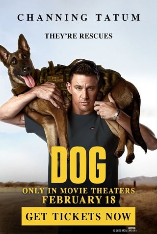ดูหนัง Dog (2022) เพื่อนกันพันธุ์ห้าว เต็มเรื่อง