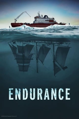 ดูหนัง Endurance (2024) เต็มเรื่อง