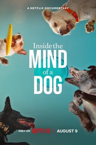 ดูหนัง Inside the Mind of a Dog (2024) อ่านใจสุนัข เต็มเรื่อง