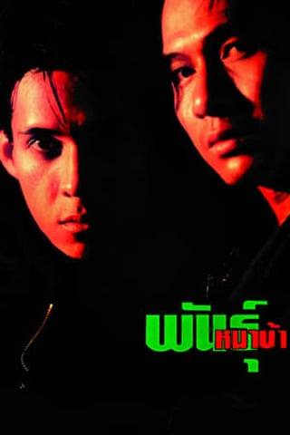 ดูหนัง พันธุ์หมาบ้า (1990) Isle of Dogs เต็มเรื่อง