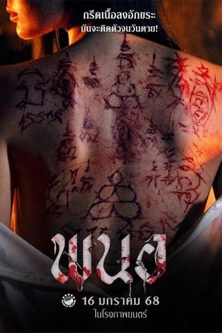 ดูหนัง พนอ (2025) PANOR เต็มเรื่อง