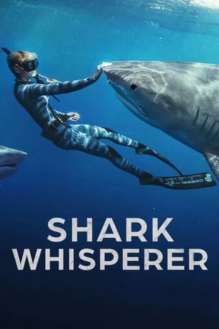 ดูหนัง Shark Whisperer (2025) คนรักษ์ฉลาม เต็มเรื่อง