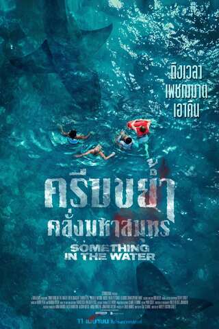 ดูหนัง Something in the Water (2024) ครีบขย้ำคลั่งมหาสมุทร เต็มเรื่อง