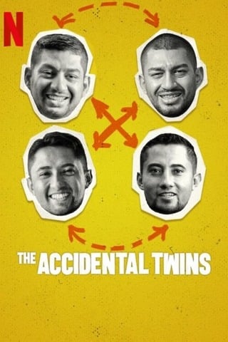 ดูหนัง The Accidental Twins (2024) ฝาแฝดบังเอิญ เต็มเรื่อง