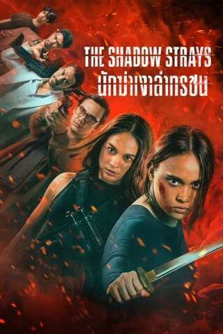 ดูหนัง The Shadow Strays (2024) นักฆ่าเงาล่าทรชน เต็มเรื่อง