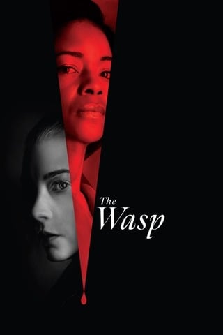ดูหนัง The Wasp (2024) เต็มเรื่อง