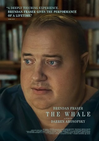 ดูหนัง The Whale (2022) เหงา เท่า วาฬ เต็มเรื่อง