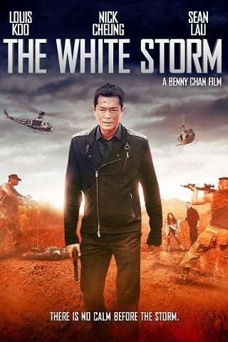 ดูหนัง The White Storm (So duk) (2013) โคตรคนโค่นคนอันตราย เต็มเรื่อง