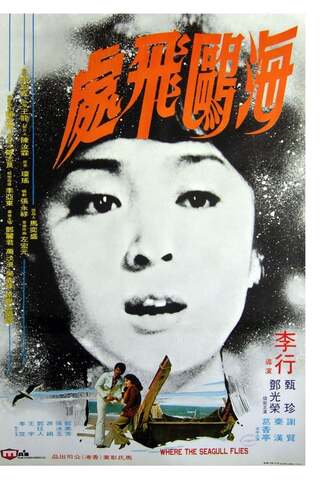 ดูหนัง Where the Seagull Flies (1974) นางนวลรวนรัก เต็มเรื่อง