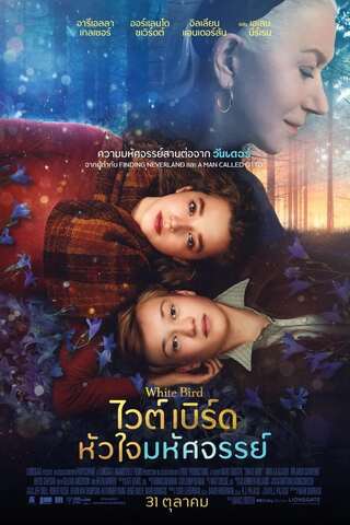 ดูหนัง White Bird A Wonder Story (2024) ไวต์เบิร์ด หัวใจมหัศจรรย์ เต็มเรื่อง